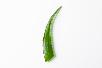 Aloe vera leaf on white background, space for text. Herbal medicine