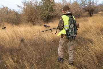 Hunters with a german drathaar and spaniel, pigeon hunting with dogs in reflective vests	