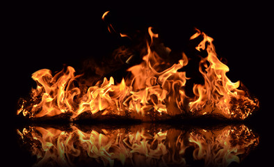Flames on a dark background. © Tetiana