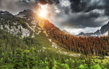 Mountain landscape. Rocky mountains covered with coniferous forest and stones against a dramatic...