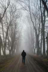 Obraz premium Swedish countryside #3