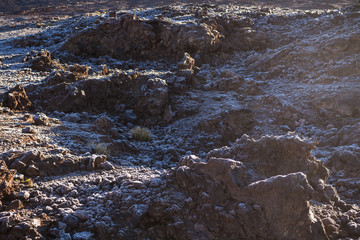 Lava stones with ice cover in the morning