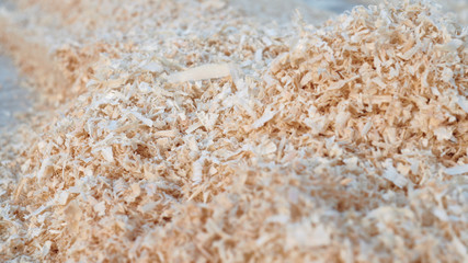 mountains of wood shavings close up