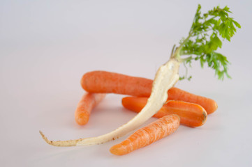 Root vegetables. Carrots and parsley