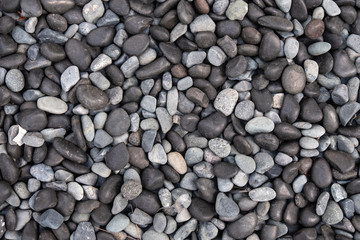 Beautiful smooth white pebbles for background and texture.