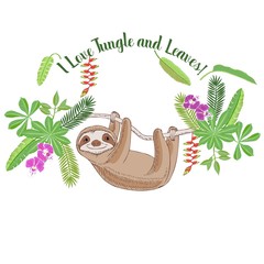 Sloth in Jungle. Animal and Plants sketches. - 267969627