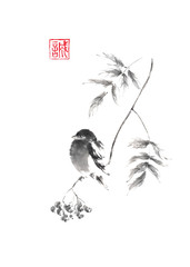 Bullfinch bird sitting on a branch of rowan tree Japanese style original sumi-e ink painting.