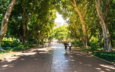 Alley and people in the shade of huge trees in south part of Hyde park in Sydney Australia