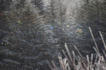 Diamond Dust