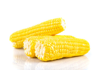 fresh raw sweet corn on the cob kernels over white background