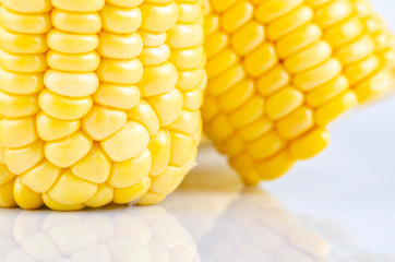 fresh raw sweet corn on the cob kernels over white background