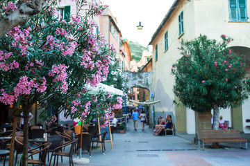 Fototapeta na wymiar Old beautiful empty narrow streets in small city of Monterosso