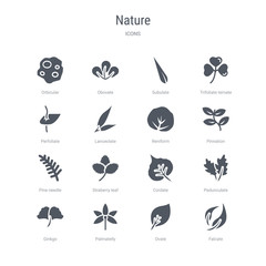 set of 16 vector icons such as falcate, ovate, palmatelly, ginkgo, pedunculate, cordate, straberry leaf, pine needle from nature concept. can be used for web, logo, ui\u002fux