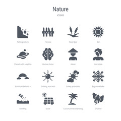 set of 16 vector icons such as dry leaf, coconut tree standing, solar, seeding, big snowflake, sunny pronostic, shining sun with rays, rainbow behind a cloud from nature concept. can be used for