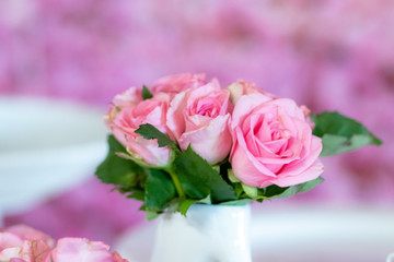 flor rosa côr-de-rosa
