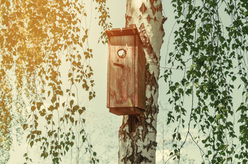 Old birdhouse on a birch among green leaves