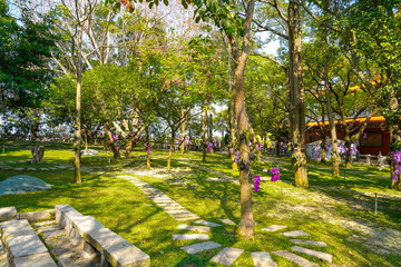 Sicao Dazhong Temple. Tainan Sicao Green Tunnel Ecological park.