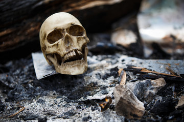 Human skull among the coals in the ashes of the fire. A copy of a human skull on ashes close-up for...