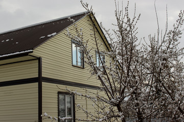 house mansion on the background of a tree with snow on the branches