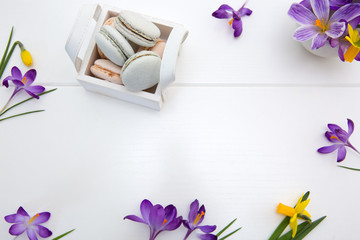 Purple crocuses and macaron cookies in the basket on white background.