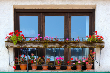 Fototapeta na wymiar Beautiful window with flower box on top, Switzerland