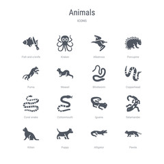 set of 16 vector icons such as panda, alligator, puppy, kitten, salamander, iguana, cottonmouth, coral snake from animals concept. can be used for web, logo, ui\u002fux