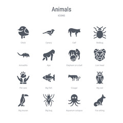 set of 16 vector icons such as fox sitting, aquarium octopus, big bug, big toucan, big owl, cougar, fish, pet care from animals concept. can be used for web, logo, ui\u002fux
