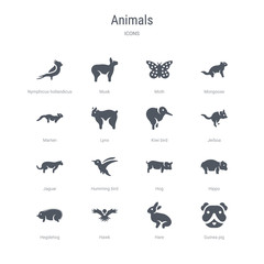 set of 16 vector icons such as guinea pig, hare, hawk, hegdehog, hippo, hog, humming bird, jaguar from animals concept. can be used for web, logo, ui\u002fux