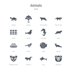 set of 16 vector icons such as orangutan, orca, pallas cat, philippine tarsier, polecat, puffer, raven, roe from animals concept. can be used for web, logo, ui\u002fux