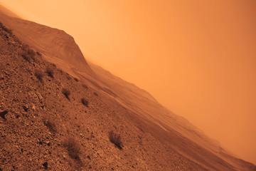 View of the red terrestrial planet