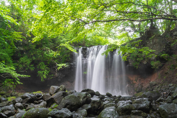 栃木県 那須塩原市 乙女の滝