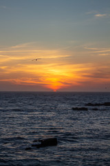 Colorful sunset on the beach with rocks and birds, at Porto, Portugal