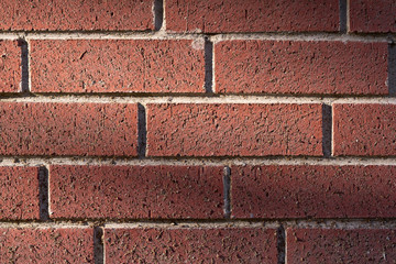 Obraz premium Brick Wall Textured in the Outdoor