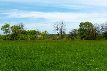 Grass field with bunker
