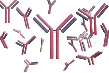 Floating antibodies on white background. 3D illustration