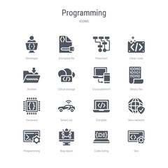 set of 16 vector icons such as seo, code listing, bug report, programming, secu network, compiler, smart car, hardware from programming concept. can be used for web, logo, ui\u002fux