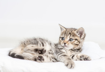Baby kitten lying on a pillow at home