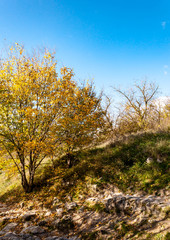 Fototapeta premium Beautiful autumn fall nature in Cremean mountains Chufut-Kale, Bakhchisaray, Crimea