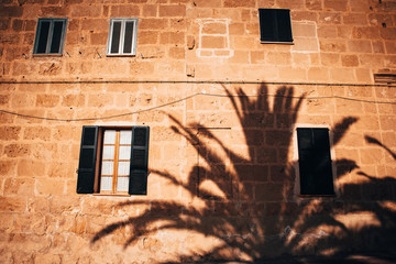 Shadow of palm tree on the wall of Mediterranean house. Summer vacation, holiday photo