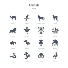 Fototapeta premium set of 16 vector icons such as albotros, octopus, seahorse, eel, medusa, hummerhead, pelican, goldfish from animals concept. can be used for web, logo, ui\u002fux