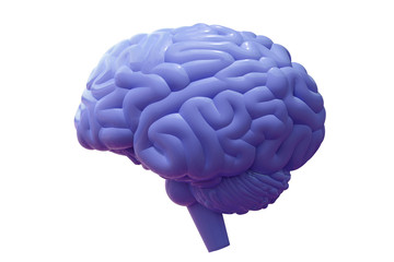 Blue brain on white background. 3d illustration