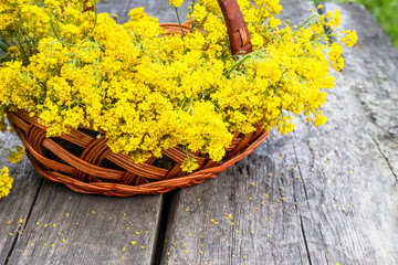 A bouquet of small yellow flowers in a wooden basket on old boards.