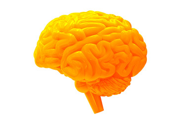 Blue brain outline on black background. 3d illustration