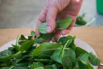 Close up of woman hands holding spinach at home, in the kitchen, healthy eating, dieting,...
