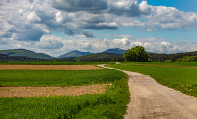 road in open green landscape 