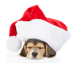 Sleeping beagle puppy in red christmas hat lying in side view. isolated on white background