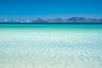 Fototapeta na wymiar Beautiful clear blue tropical sea. Summer vacation, holiday concept photo. Playa de Muro, Spain