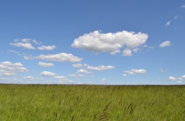 Joli paysage de campagne par beau temps