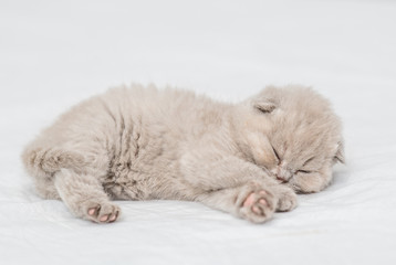 Baby kitten sleeping on the bed