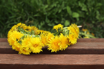 Wreath of yellow dandelion flowers on a wooden bench in a green park. Concept of spring season, background for romantic date